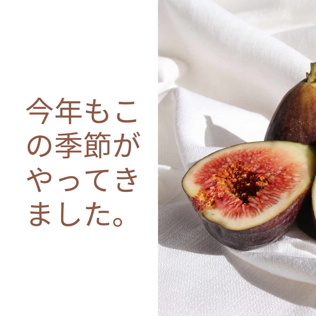いちじく　無花果
