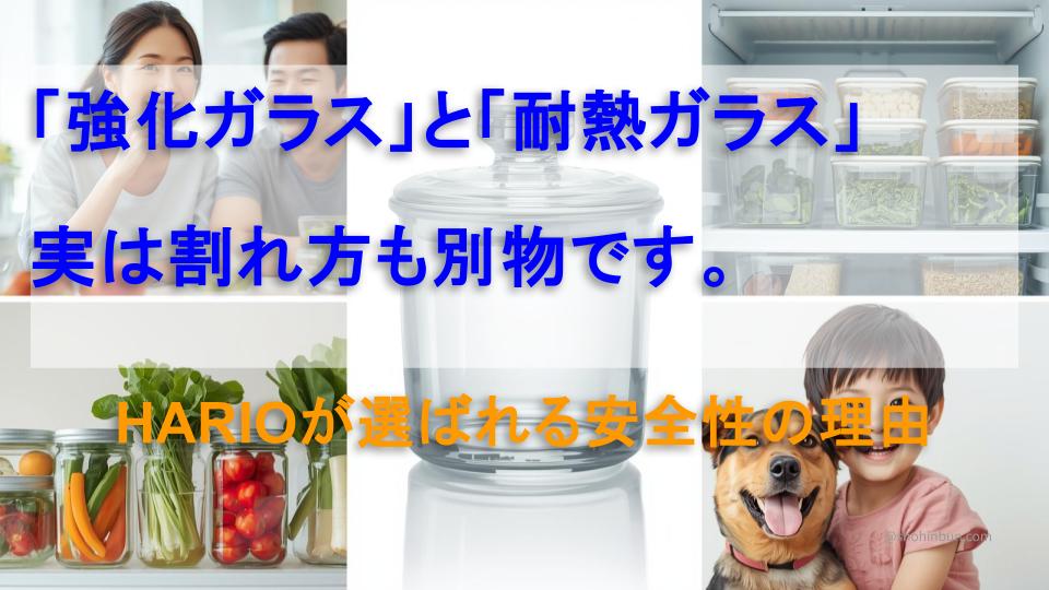 HARIO耐熱ガラス保存容器と家族・冷蔵庫収納・ペットのイメージ画像